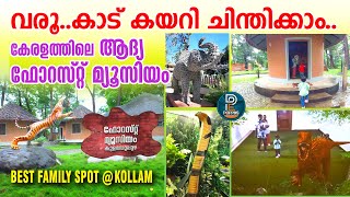 50 രൂപയ്ക്ക് കാട് കയറാം❤️🐯 KERALA FIRST BIGGEST FOREST MUSEUM 💥|Kollam | keralaforest |Day out |