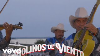 LOS LIRICOS JR. - Molinos de viento (Official Music Video)