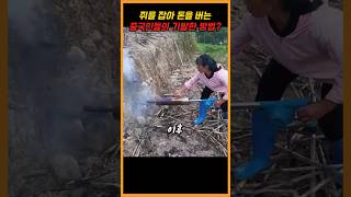 쥐를 잡아 돈을 번다? 중국 농부들의 기발한 방법!