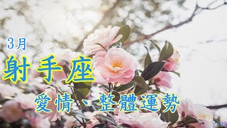 💞3月.射手座~愛情#整體運勢​​​​​​#複合#單身​​​#曖昧​​​#交往中​​​#火象星座