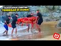 Nelayan Kaget Ketika Menemukan Lobster Raksasa Terdampar di Pantai, Setelah Diselidiki Ternyata...