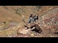 maral wapiti hunting in kazakhstan with profihunt