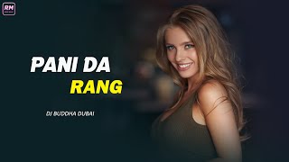 Pani Da Rang (Remix) Dj Buddha Dubai | Vicky Donor | Ayushmann Khurrana & Yami Gautam | Remix Music