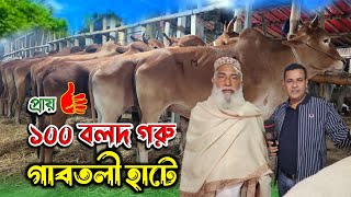 ঈদের আগেই দুধ সাদা বলদ ও লাল বলদ দিয়ে গাবতলী হাট ভর্তি করে ফেলেছে আনোয়ার মন্ডল! cow price