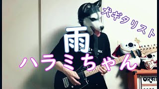 ハラミちゃん『雨』をロックギターでエモめに弾く犬　#ハラミちゃん　#haramipiano