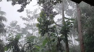 Soothing Rain and Thunderstorm Noises on a Tiled Roof for Deep Sleep