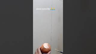 Diy Coconut Shell Birds |Wall Hanging Craft Ideas |Beautiful Coconut Shell Craft |#Shorts