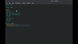 x86 Assembly Programming 1: Preliminary Knowledge, Setup and Basics