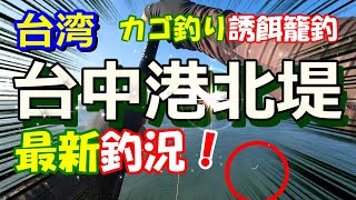 【台中港北堤・台湾釣り魅力】最新釣況！到底是什麼魚！？いったいナニ？2024年10月釣査