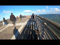 fishing a live crab off the pier fishing experiment