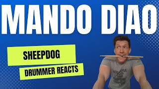 MANDO DIAO - SHEEPDOG - DRUMMER REACTS