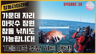 참돔타이라바 - 정 가운데 자리에서 마릿수 장원! (가을시즌 주요 히트 패턴)