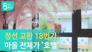 [G1뉴스]정선 고한 '18번가의 기적'