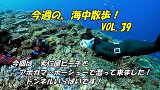 今週の海中散歩！（スキンダイビング）VOL.39　天仁屋ビーチ・アポガマ～ホーシュー/sukindiving in okinawa