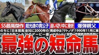 【競馬】未完の大器！短命で現役を終えターフを去った幻の名馬たち7選！