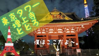 46 東京タワーと増上寺とととろ~お花いい匂い～🐕🎶~