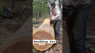 #chainsaw #wood #woodworking #shortvideo #shorts