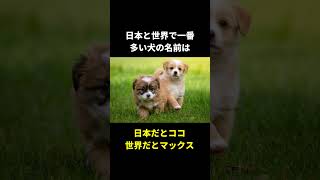 犬の秘密🤫暴露します🔥パート6