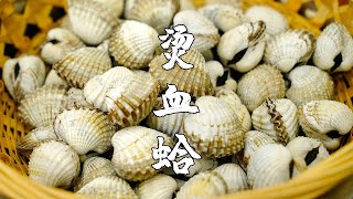 年夜飯菜單第2道：燙血蛤，潮汕人的家鄉年味【潮州山哥】