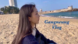 [vlog] | 여행 브이로그 | 나혼자 당일치기 강릉 여행🌊 | 처음 뚜벅이 여행 | 베이글 맛집 찾았다!!🥯 | 튓마루 | 동화가든 | 유리알유희 | 오리둥지 선물가게