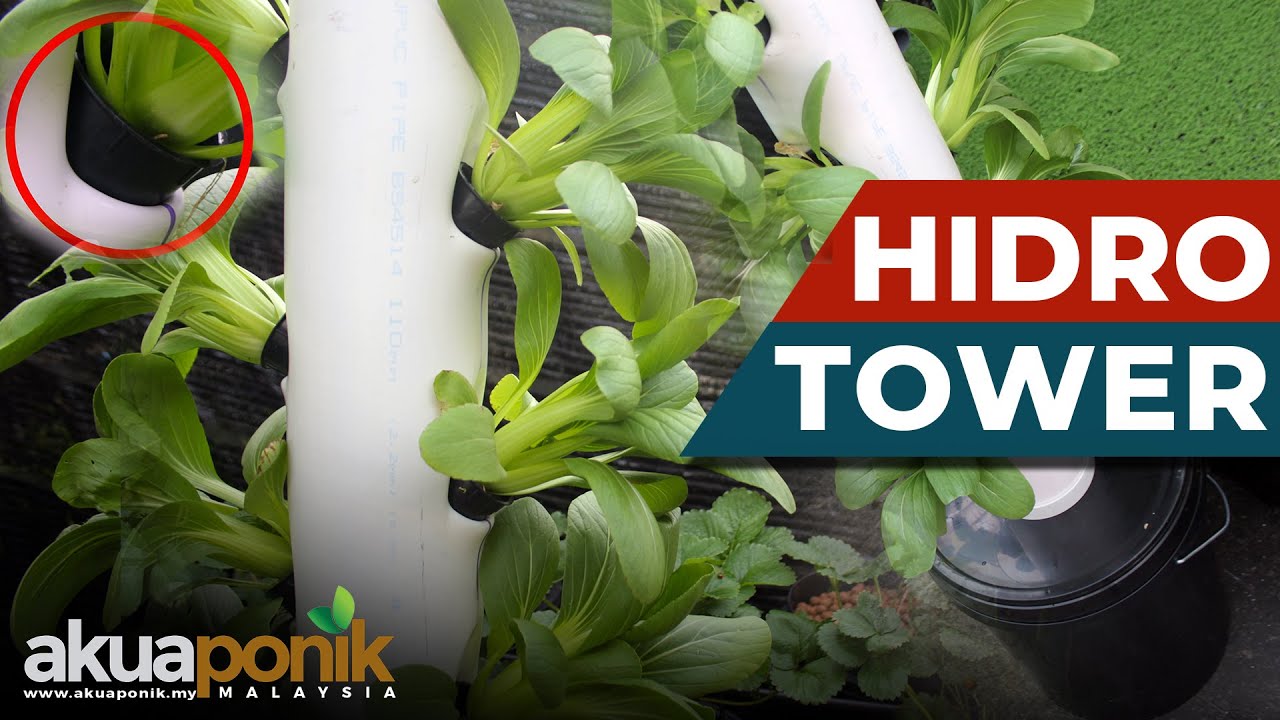 DIY Vertical Tower Hidroponik & Akuaponik | Anti Bocor | Urban Farming ...