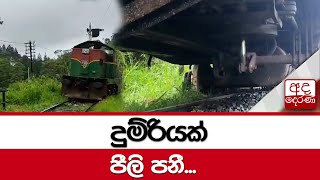 දුම්රියක් පීලි පනී...