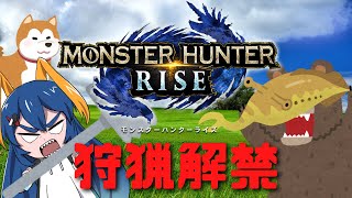 【MH RIZE】モンハンライズ！狩猟解禁！