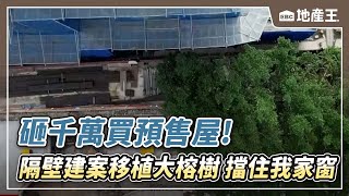 獨家》砸千萬買預售屋！隔壁建案移植大榕樹 擋住我家窗 @ebcrealestate