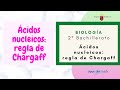 ÁCIDOS NUCLEICOS: REGLA DE CHARGAFF