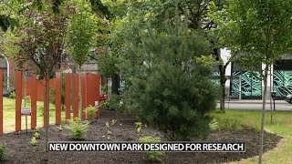 UofL's microforest opens in downtown Louisville