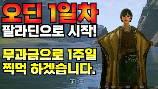 [오딘] 무과금 팔라딘으로 달린다. 1일차 후기 (목표는 30레벨 거래소 판매 오픈까지)