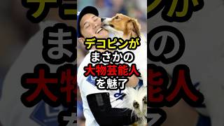 【大谷翔平】愛犬デコピンにアメリカ芸能人もメロメロ!! #大谷翔平 #mlb #ドジャース #野球 #デコピン