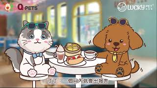 【寵物產品知多啲】 產品介紹 | LuckyPet 寵物(貓狗)致敏原檢測 | LuckyPet 寵物(貓狗)基因檢測