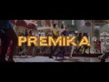 premika remix dilwale varun dhawan kriti sanon dj chetas mix