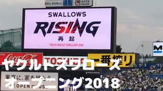 ヤクルトスワローズ　オープニングムービー　2018年