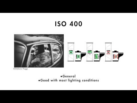 ISO Film – A Beginner’s Guide by ILFORD Photo