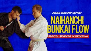 Naihanchi Flow by Jesse Enkamp sensei - full seminar highlights