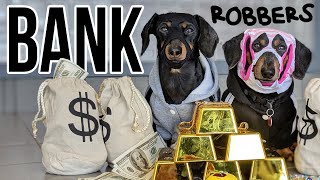 Ep #8: Crusoe & Oakley ROB A BANK! - a Wiener Dog Bank Heist!
