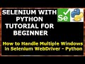 #32 How to Handle Multiple Windows in Selenium WebDriver |Selenium with Python tutorial for Beginner
