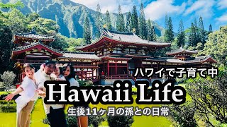 【ハワイ生活】ここハワイなの？日本にいるみたい。|生後11ヶ月ベビー  | ハワイ|ホノルル |ハワイの日常| 孫との時間 | アラフォーママVlog #コアハワイ