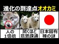 オオカミの持つ驚くべき能力