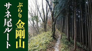 【金剛山】三大急登と呼ばれている尾根道を歩きました！(2022年3月）