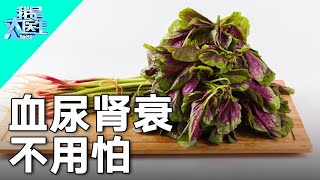 血尿、肾衰不用怕，避开这4种食物，肾脏疾病远离你【我是大医生】