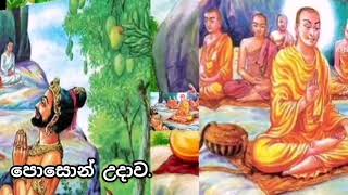 අසිරිමත් පොසොන් උදාව.