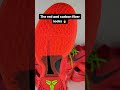 my favorite details on the kobe 6 reverse grinch