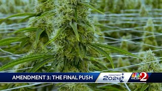 Florida Amendment 3: Recreational marijuana at stake