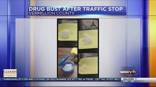Vermillion Co. officers with K-9 find 14g of meth