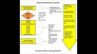 Idéologie de la hiérarchisation des races et ses conqéquences