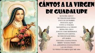 Canciones A La Virgen De Guadalupe💐 La Virgen de Guadalupe🙏Los Berrenditos Cantos y Alabanzas