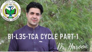 B1-L35- TCA Cycle Part 1